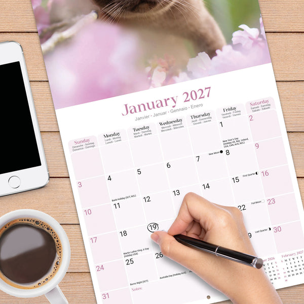 Burmese Cats Calendar 2027