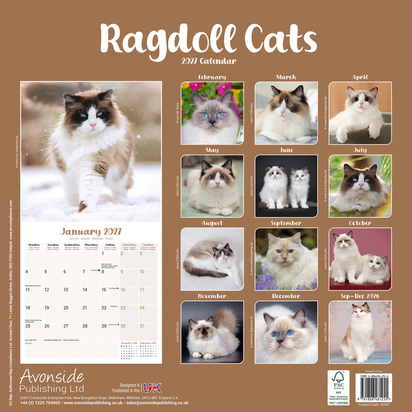 Ragdoll Cats Calendar 2027