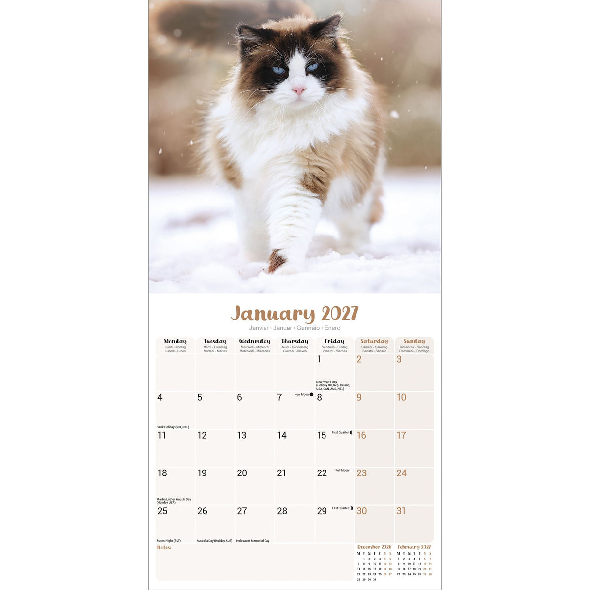 Ragdoll Cats Calendar 2027 – Avonside Publishing Ltd
