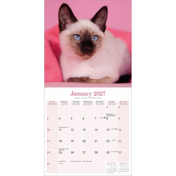 Siamese Cats Calendar 2027