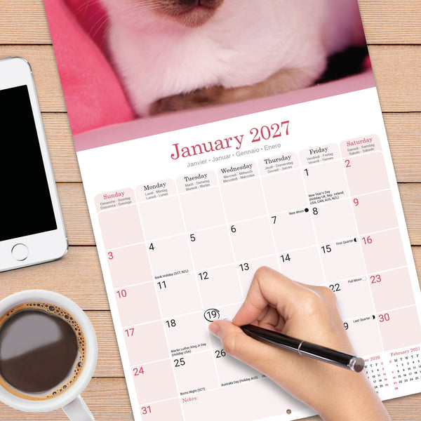 Siamese Cats Calendar 2027