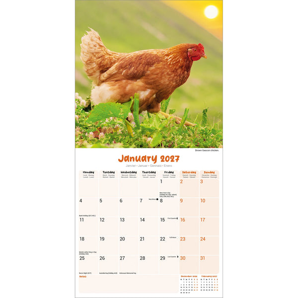 Chickens Calendar 2027