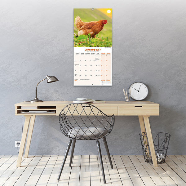 Chickens Calendar 2027