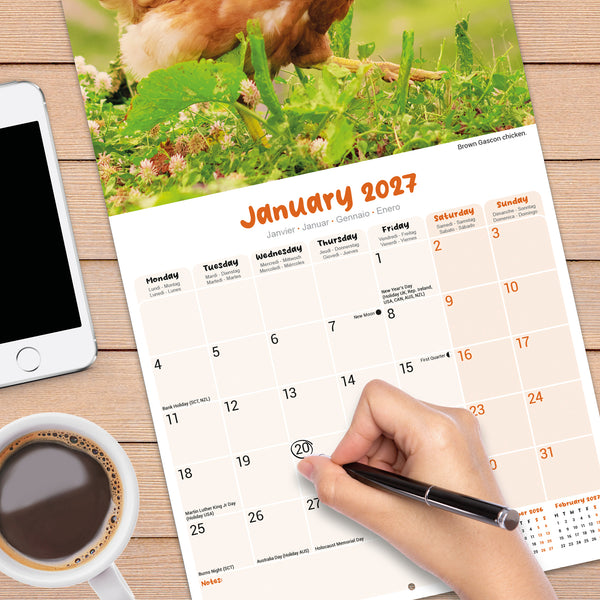 Chickens Calendar 2027
