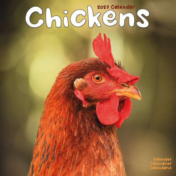 Chickens Calendar 2027