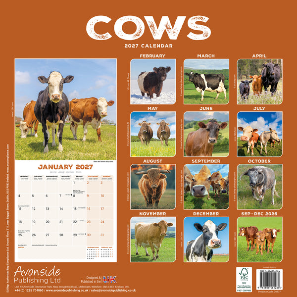Cows Calendar 2027