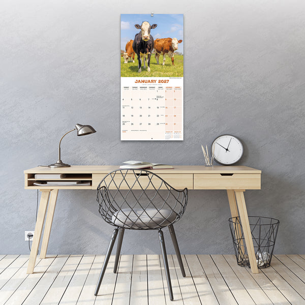 Cows Calendar 2027