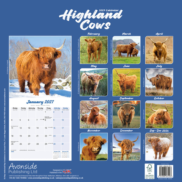 Highland Cows Calendar 2027