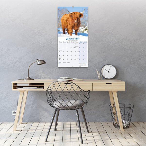 Highland Cows Calendar 2027