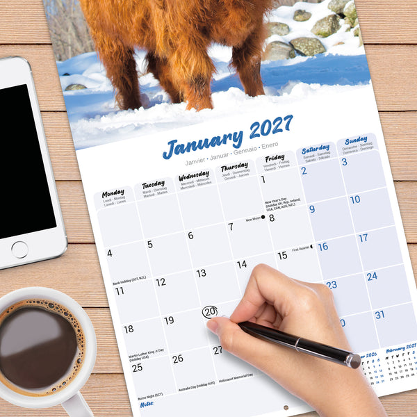 Highland Cows Calendar 2027