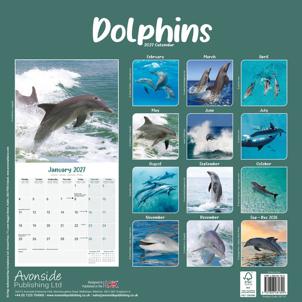Dolphins Calendar 2027