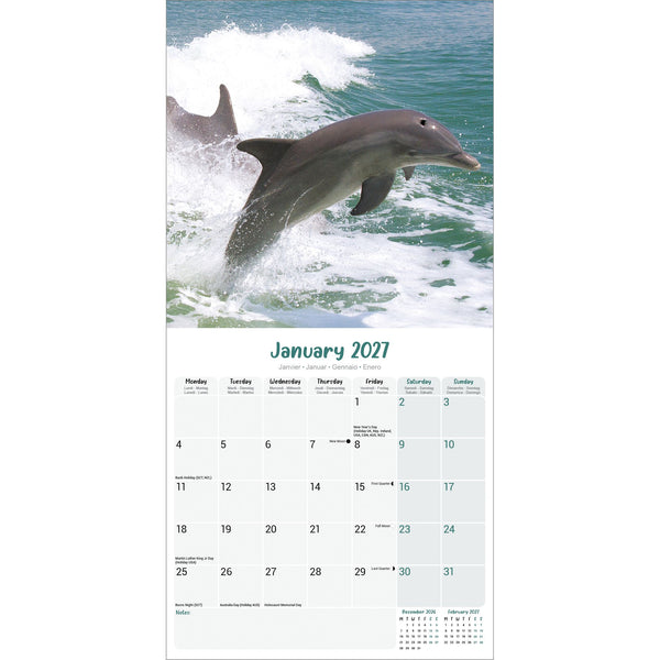 Dolphins Calendar 2027