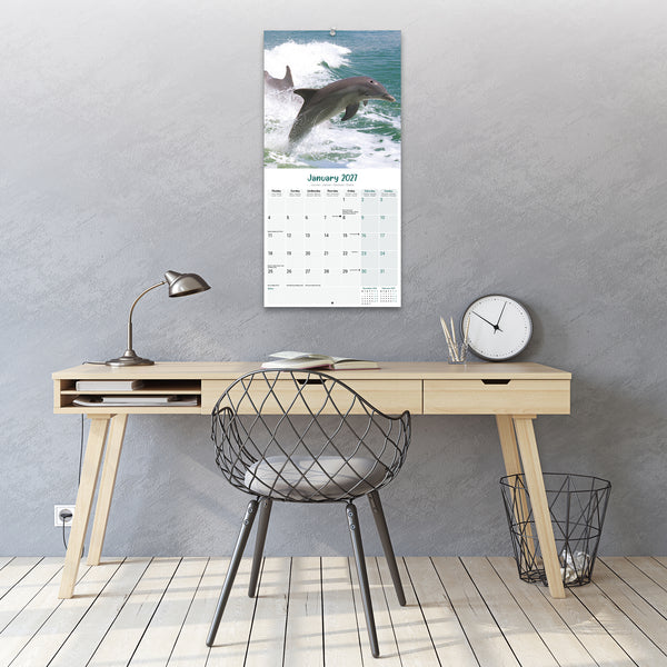 Dolphins Calendar 2027