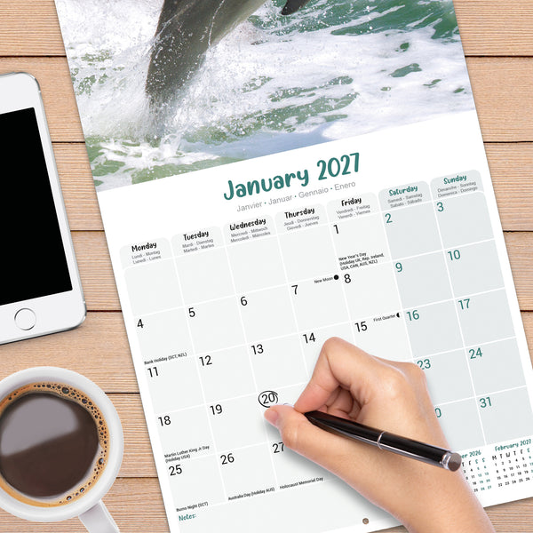 Dolphins Calendar 2027