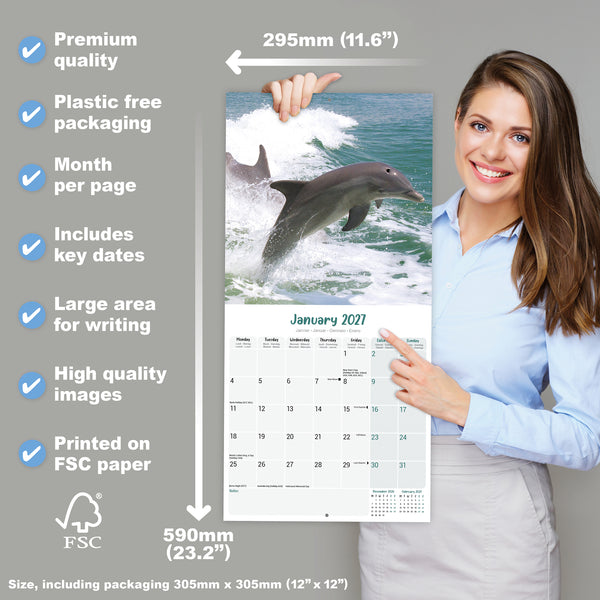 Dolphins Calendar 2027