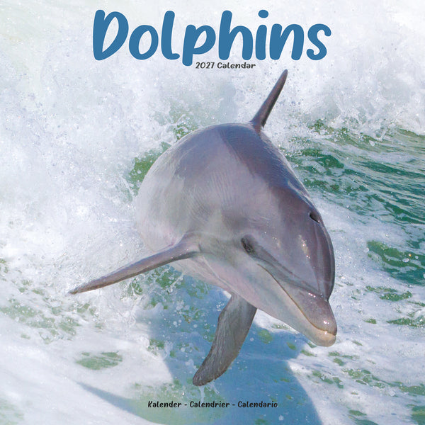 Dolphins Calendar 2027
