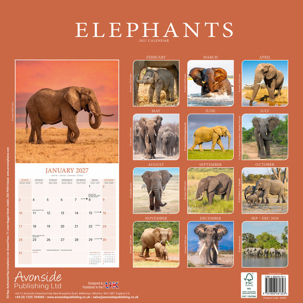 Elephants Calendar 2027