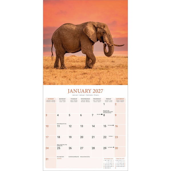 Elephants Calendar 2027