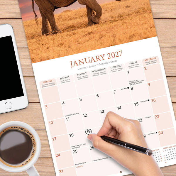 Elephants Calendar 2027