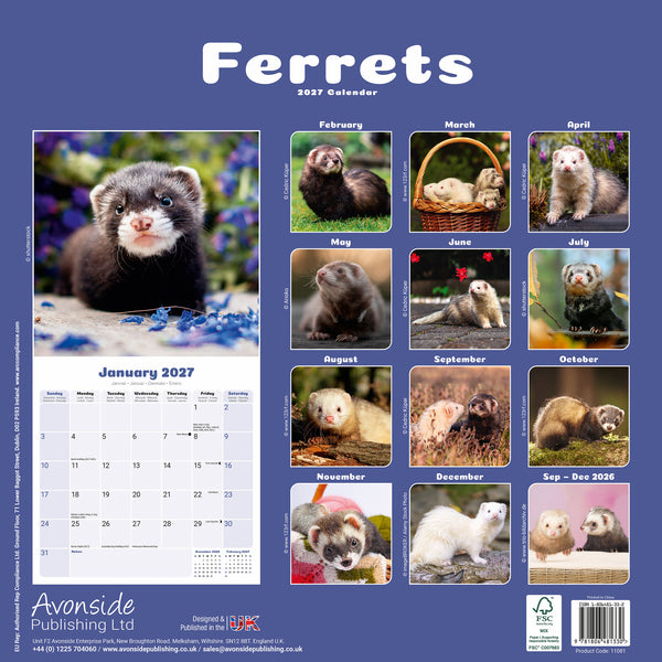 Ferrets Calendar 2027