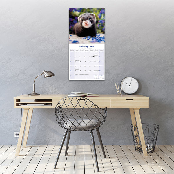 Ferrets Calendar 2027