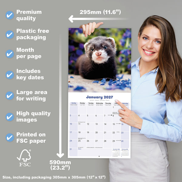 Ferrets Calendar 2027