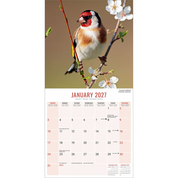 Garden Birds Calendar 2027