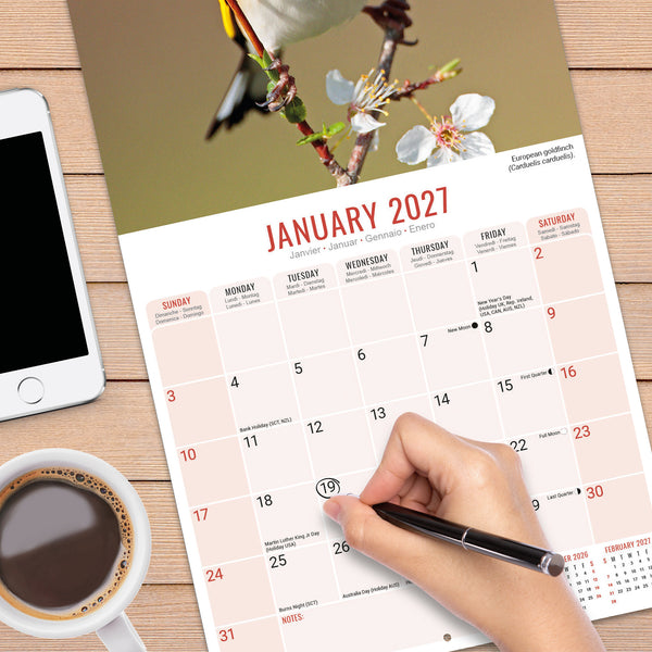 Garden Birds Calendar 2027