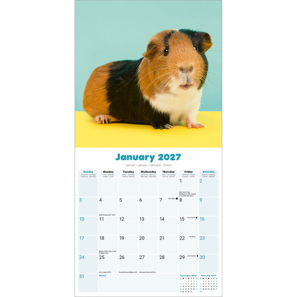 Guinea Pigs Calendar 2027