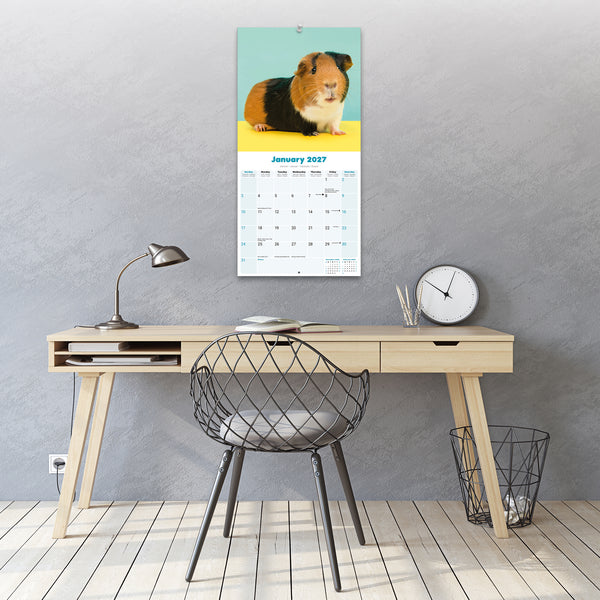 Guinea Pigs Calendar 2027
