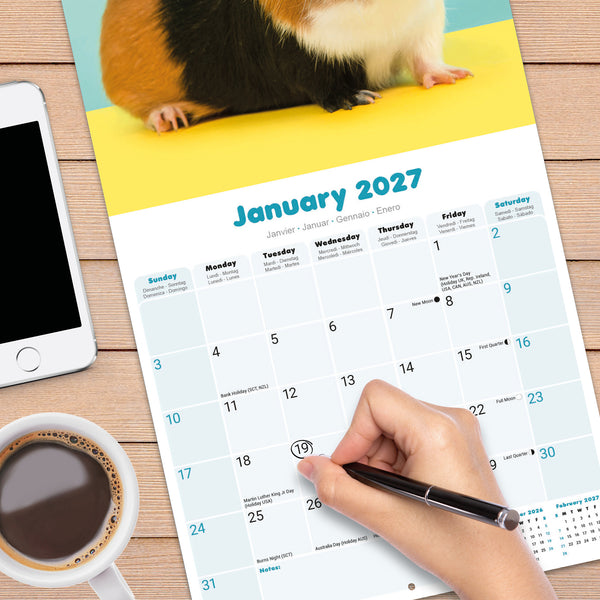 Guinea Pigs Calendar 2027