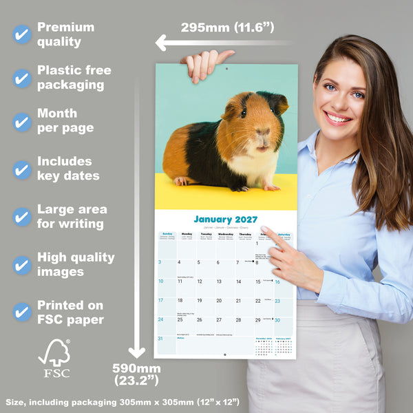 Guinea Pigs Calendar 2027