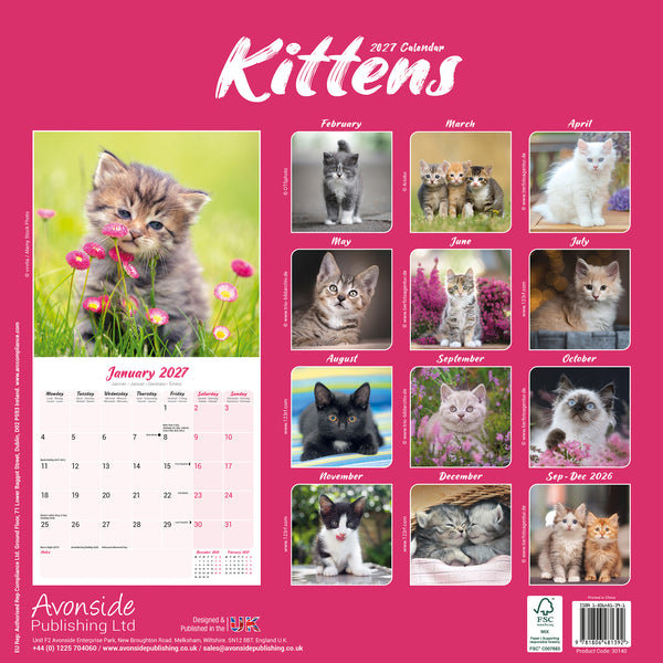 Kittens Calendar 2027
