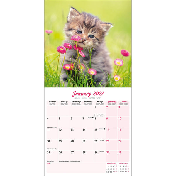 Kittens Calendar 2027