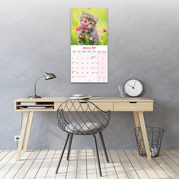 Kittens Calendar 2027