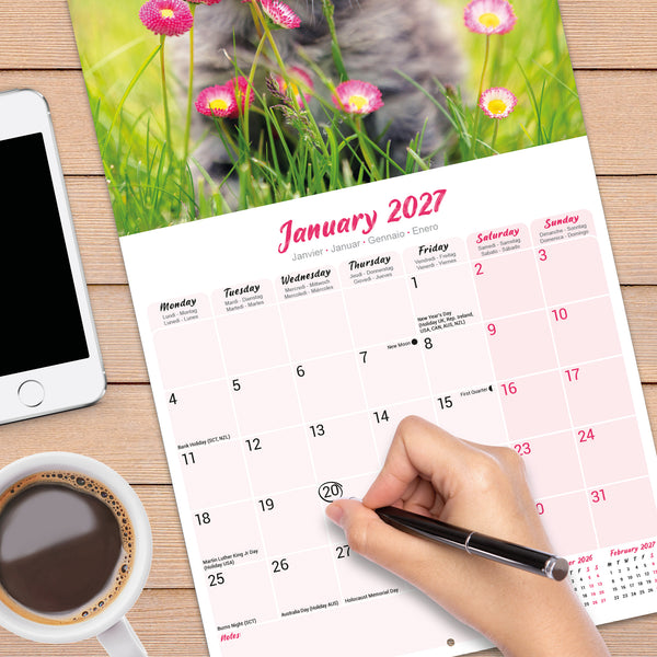 Kittens Calendar 2027