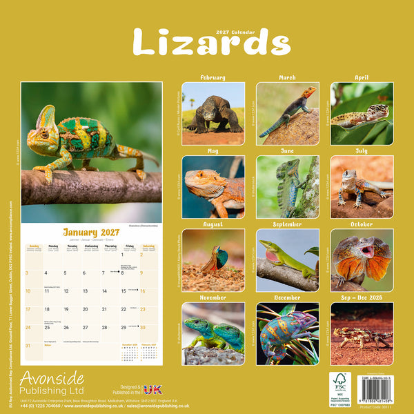 Lizards Calendar 2027