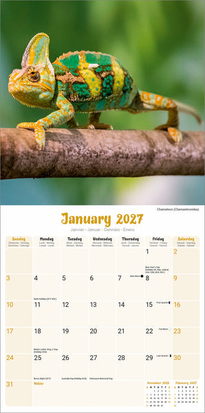 Lizards Calendar 2027
