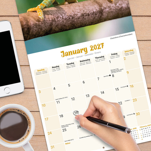 Lizards Calendar 2027