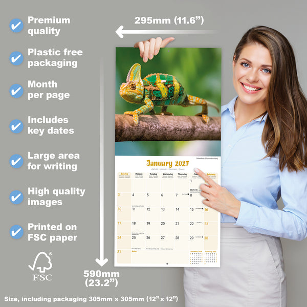 Lizards Calendar 2027