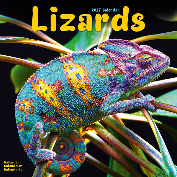Lizards Calendar 2027