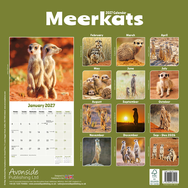 Meerkats Calendar 2027