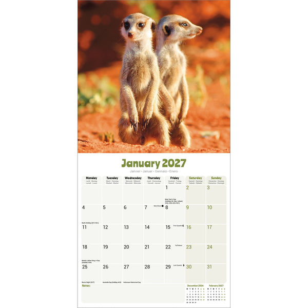 Meerkats Calendar 2027