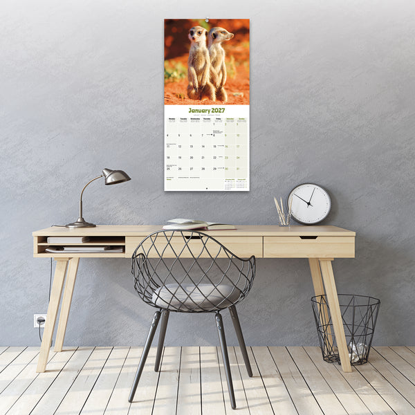 Meerkats Calendar 2027