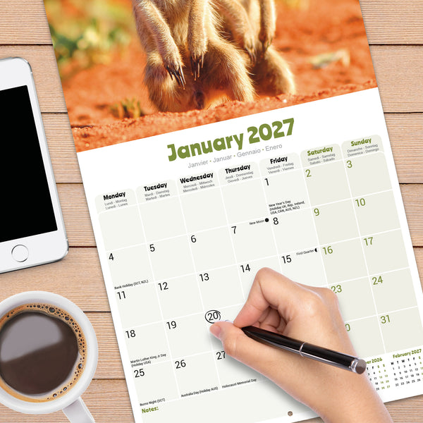 Meerkats Calendar 2027