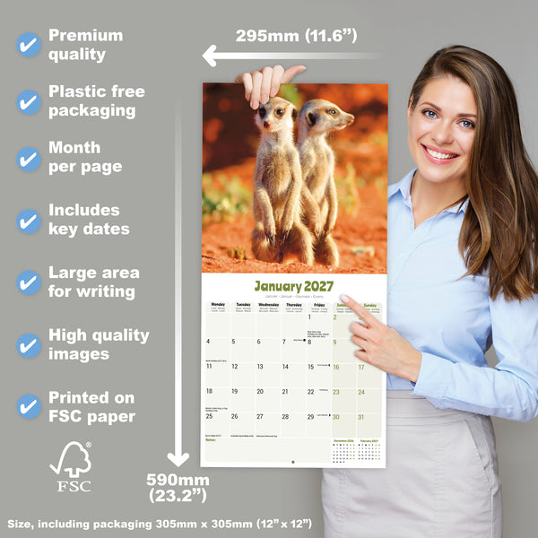 Meerkats Calendar 2027