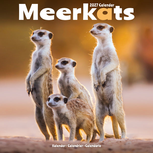 Meerkats Calendar 2027