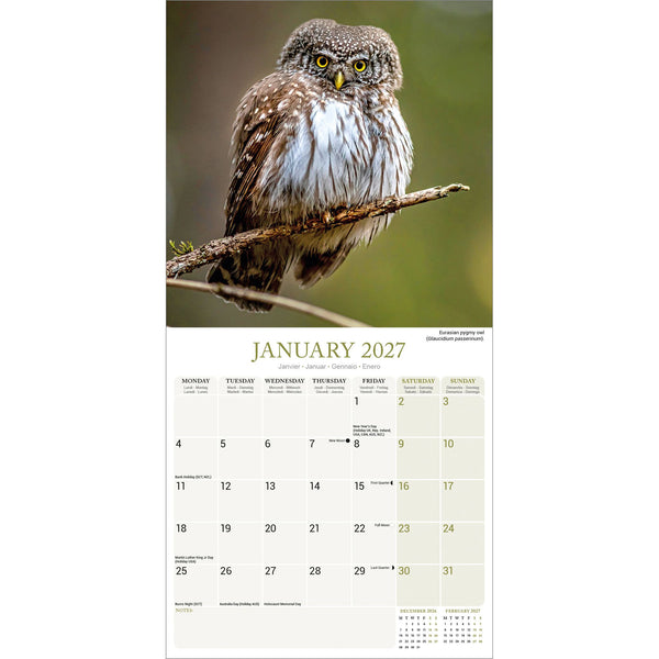 Owls Calendar 2027