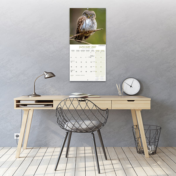 Owls Calendar 2027