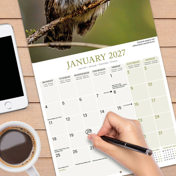 Owls Calendar 2027